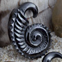 Black horn ammonite design