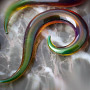 Pyrex tail spirals (Alien)