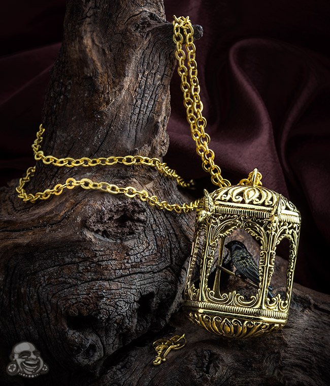 Product photo