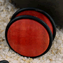 See product details