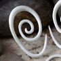 Bone oval spirals