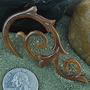 Golden horn Borneo Vine design
