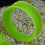See product details