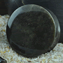 See product details