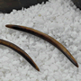 Yellow tiger eye septum tusk