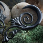 Black horn Melange design