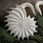 Bone Mollusk design