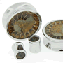 Ammonite fossil plugs