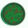 See product details