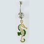 Seahorse navel