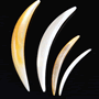 White shell septum tusk