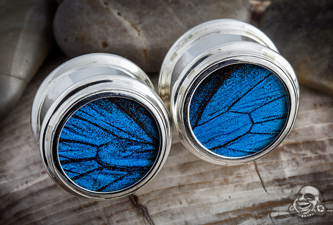 Solid Sterling Silver Erfly Wing Plugs Solid Sterling Silver Erfly Wing Plugs Main Photo