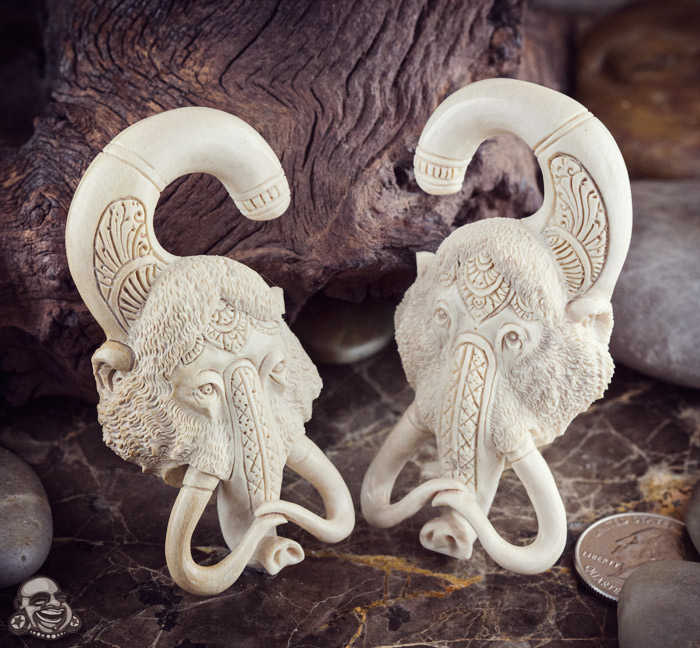 Fossilized Mammoth Ivory Mammoths