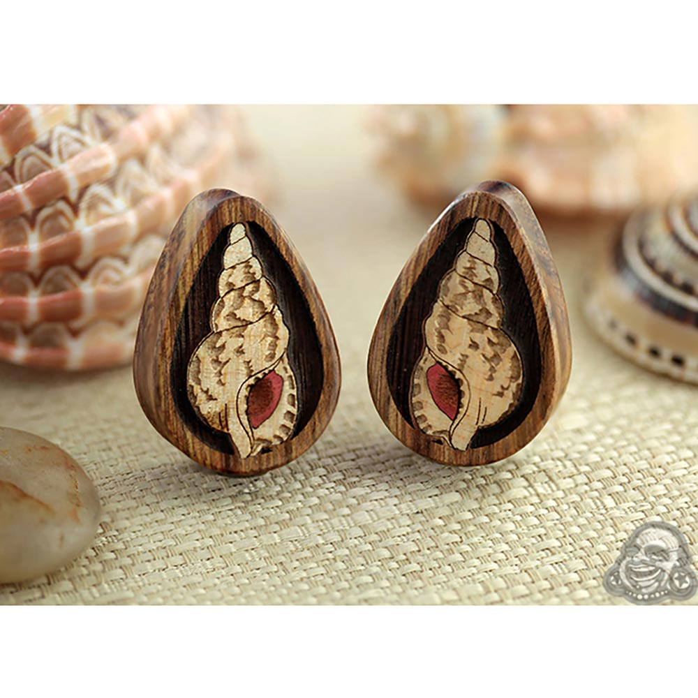 Chechen Shell Teardrop Plugs Gauges Summer Beach