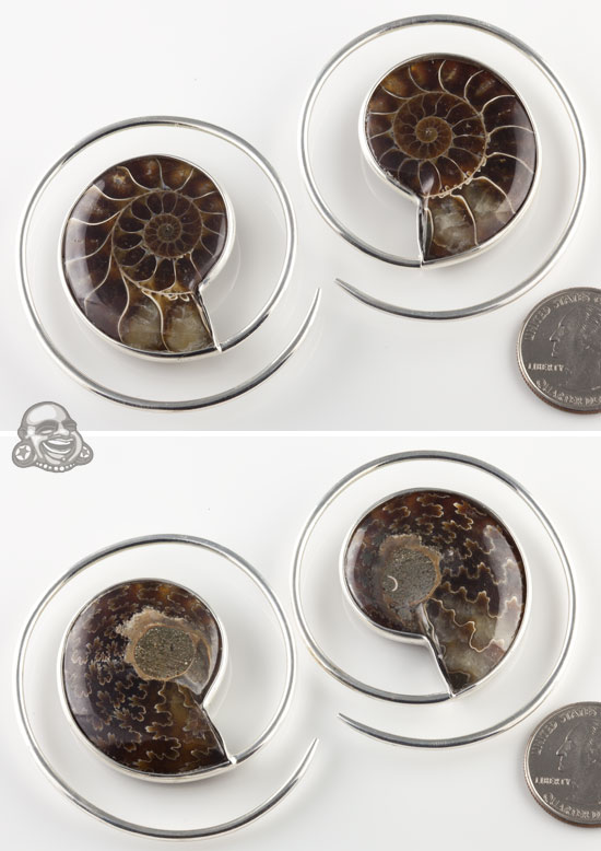 Platinum Plated Brass Ammonite Hoops