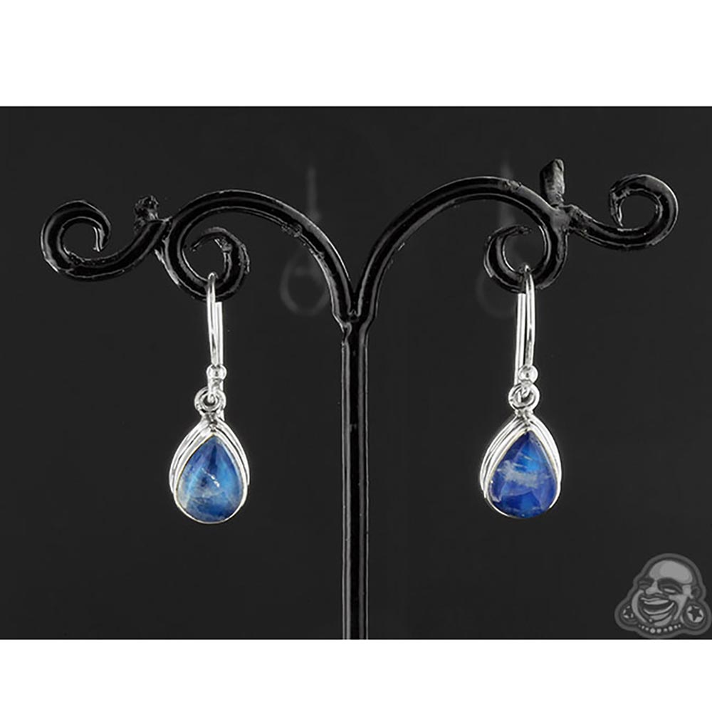 Silver And Blue Moonstone Earrings